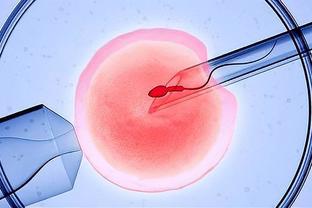 大连地区辅助生殖技术应用现状分析